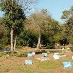Corumbá libera 15 covas em cemitério para sepultamento de vítimas do coronavírus