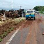 Carreta tombada interdita meia pista da rodovia MS-480