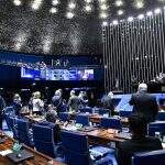 Esperado por ruralistas, projeto de venda de terra para estrangeiros será vetado, revela Bolsonaro