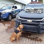 Desconfiado, motorista de guincho chama polícia e maconha é encontrada dentro de carro