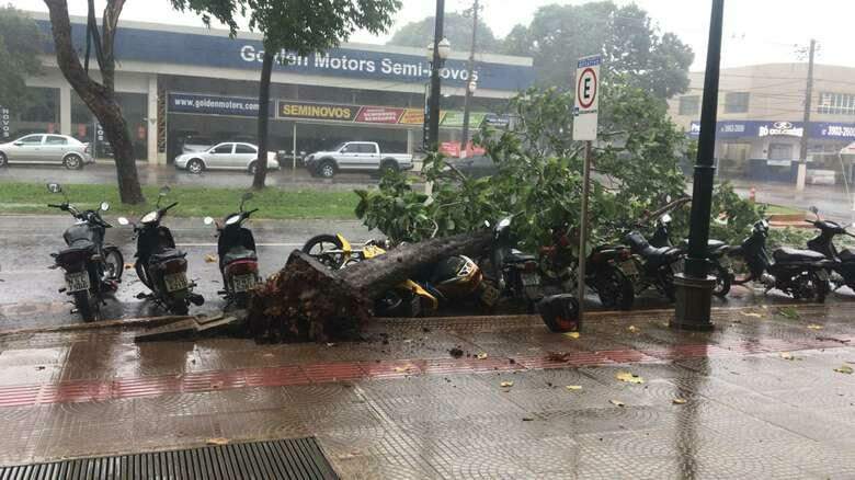 VÍDEO: Chuva forte derruba árvores, alaga ruas e causa estragos em Dourados