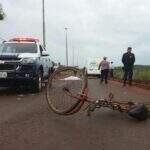 Ciclista idoso morre atropelado por carreta que transportava suínos