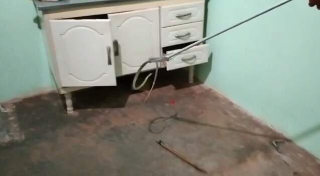 PMA captura serpente dentro de armário de pia em cozinha de residência