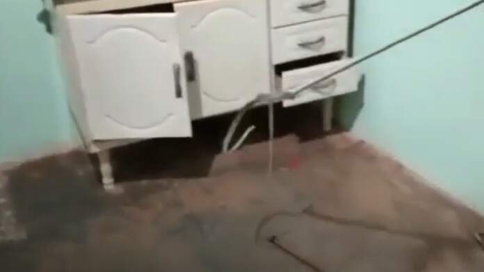 VÍDEO: Ao lavar louça, moradora encontra serpente em armário em cidade de MS