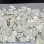 Em casa alugada para o tráfico, polícia descobre cocaína em sacos embaixo de cama