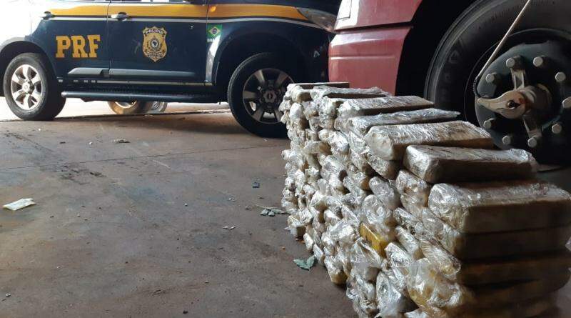 Carga de cocaína avaliada em mais de R$ 5 milhões é apreendida em meio a milho