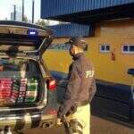 Motorista é preso com cocaína avaliada em R$ 16 milhões no sistema de freio do caminhão