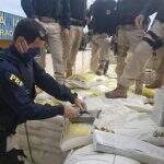 Cocaína apreendida em caminhão de farinha é avaliada em mais de 15 milhões de euros