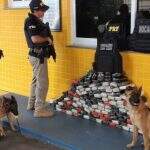 VÍDEO: Cães policiais encontram 158 quilos de cocaína em estepes de carreta