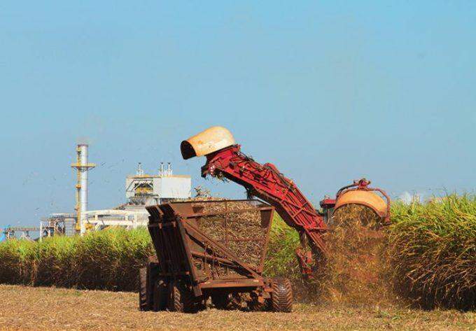 Com consumo de etanol em baixa, indústrias apostam no açúcar e exportações disparam em MS