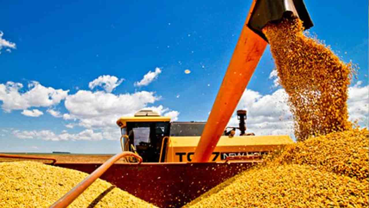 Mesmo com safra recorde, Governo Federal zera alíquota de importação de grãos