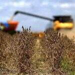 Chuva atrapalha e colheita da soja começa em ritmo lento em Mato Grosso do Sul