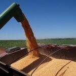 Conab estima safra recorde de grãos para safra 2018/2019