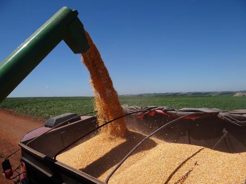 Conab estima safra recorde de grãos para safra 2018/2019