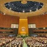 Brasil será representado por sul-mato-grossense em evento na ONU