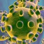 Coronavírus: Europa continua reabertura, enquanto Am. Latina vê nº de casos disparar