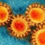 Coronavírus: mundo supera 16 milhões de casos e Brasil está entre os com mais mortes