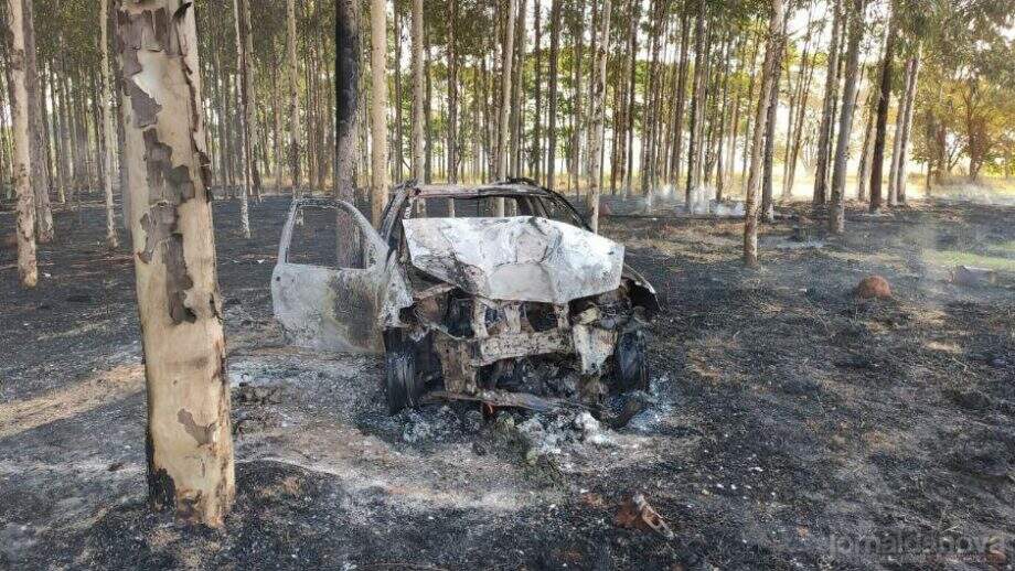 Veículo colide em eucaliptos e fica destruído após pegar fogo em assentamento