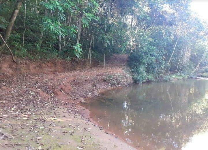 Fazendeiro é multado em R$ 10 mil por desmatar mata ciliar de córrego para construir estrada