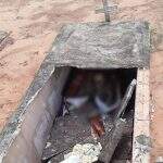 Visitantes reclamam de abandono e túmulos vandalizados no Cemitério Cruzeiro