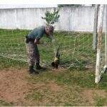 PMA resgata curicaca presa em rede de campo de futebol