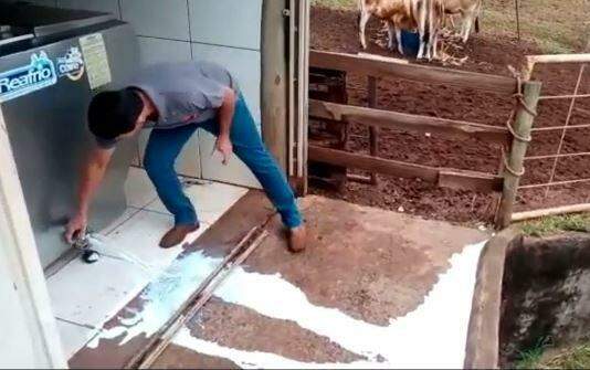 VÍDEO: há mais de 40 horas sem energia, produtor perde 800 litros de leite em Campo Grande