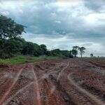 Desmatamento no Pantanal de área igual a 69 mil estádios implica fazendeiros em inquérito do MP