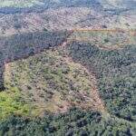 Fazendeiro é multado em R$ 27 mil por desmatamento de área nativa em Bonito
