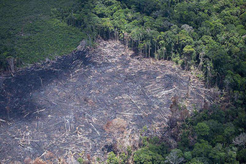 Secretário-geral da ONU diz estar preocupado com incêndios na Amazônia