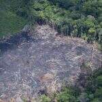 Desmatamento na Amazônia já cresceu 93% neste ano, aponta Inpe