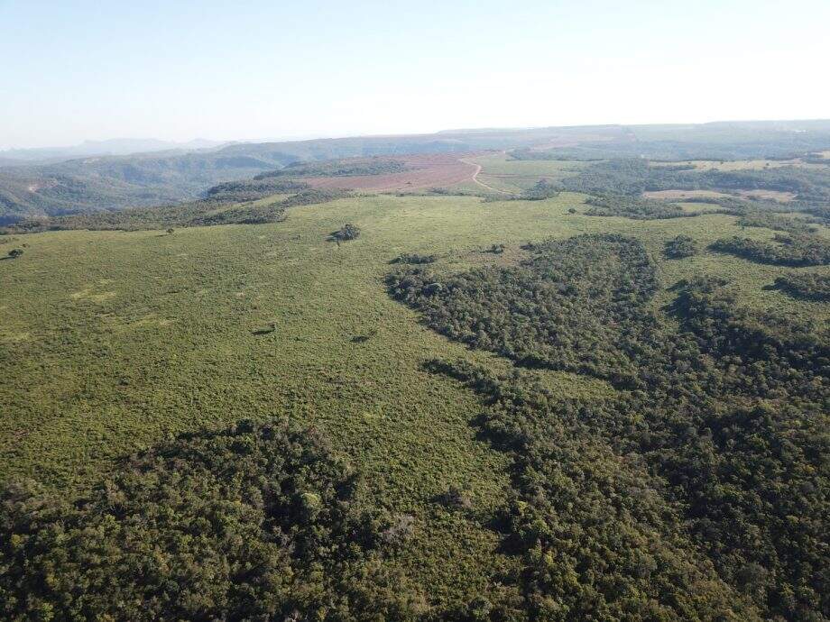 VÍDEO: Desmatamento na Serra de Maracaju aumenta enxurrada em área preservada e preocupa moradores