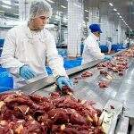 Indústria da carne lidera ranking de acidentes de trabalho em MS