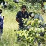 Por falta de reagentes, corpo encontrado em terreno baldio não foi identificado