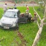 Fechado por carreta, motorista invade canteiro de avenida e derruba árvore