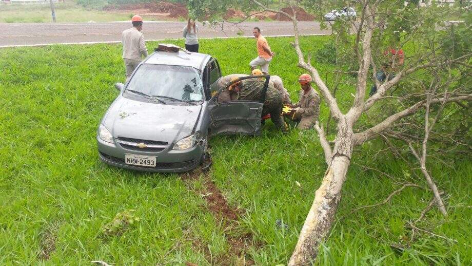 Fechado por carreta, motorista invade canteiro de avenida e derruba árvore