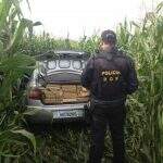 Traficante foge de barreira e abandona 643 kg de maconha em rodovia de MS