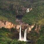 Como as raízes do Cerrado levam água a torneiras de todas as regiões do Brasil
