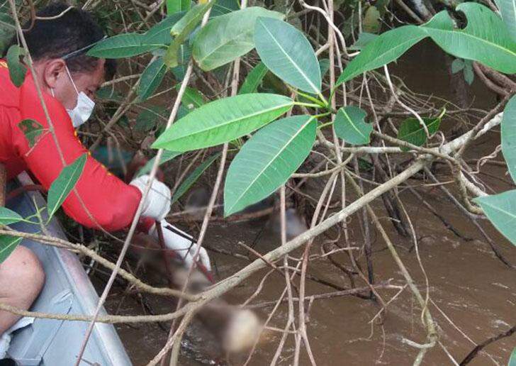 Bombeiros localizam mulher que desapareceu no Rio Taquari