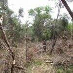 Operação investiga desmatamento de 5 mil hectares em 37 municípios de MS