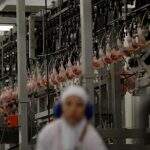 Chile e Egito anunciam que vão voltar a comprar carne brasileira