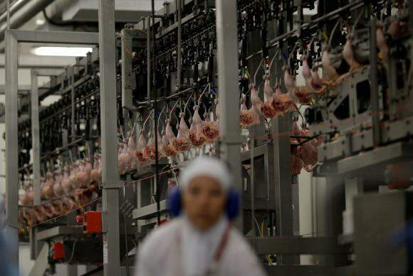 Frigorífico de MS e de outros 5 estados são habilitados para exportar carne à China