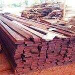 Empresa é multada em R$ 10,5 mil por armazenamento ilegal de madeira