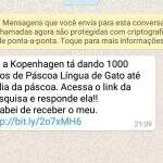 Pelo WhatsApp, mais de 300 brasileiros caem em golpe que promete ovo de chocolate