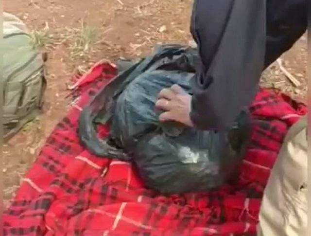 Homem pega carona e é preso com 3,5 kg de maconha ‘in natura’ pela PRF