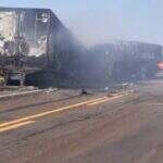 Caminhões batem de frente e pegam fogo em acidente na BR-267