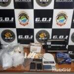 Polícia prende dupla que enviava drogas via Sedex para todo o País
