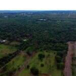 Instituto Histórico e Geográfico de MS se pronuncia sobre desmatamento no Parque dos Poderes