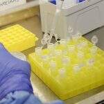 SES mantém sob investigação nove casos suspeitos de coronavírus em MS