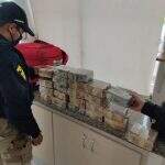 VÍDEO: Pedreiro preso pela PRF carregava mala com mais de R$ 3 milhões