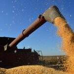 Sem chuva, produção da soja já tem diminuição de 27% em MS